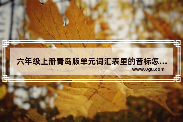 六年级上册青岛版单元词汇表里的音标怎么写,小学六年级英语单词上册人教版