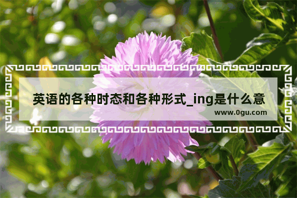 英语的各种时态和各种形式_ing是什么意思（网络用语）