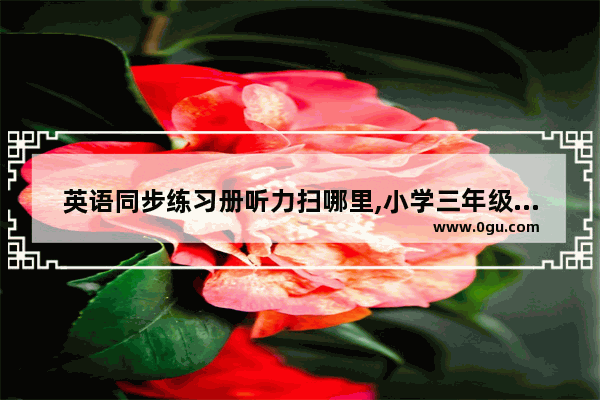英语同步练习册听力扫哪里,小学三年级上册英语听力训练
