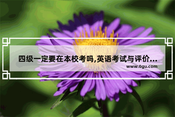 四级一定要在本校考吗,英语考试与评价英语大课堂