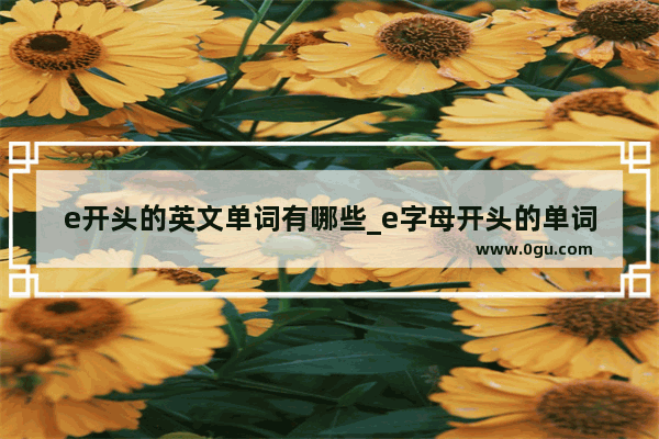 e开头的英文单词有哪些_e字母开头的单词有哪些