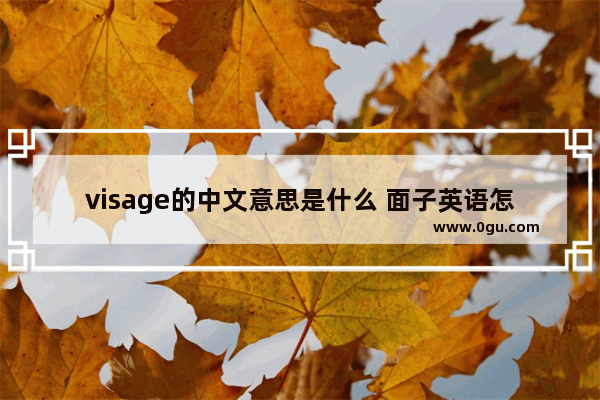 visage的中文意思是什么 面子英语怎么说