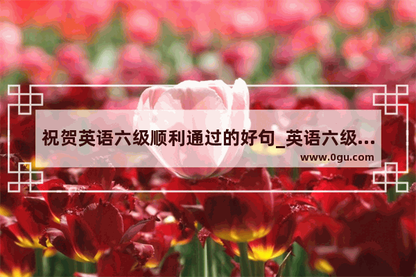 祝贺英语六级顺利通过的好句_英语六级常考单词