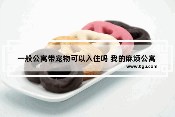 一般公寓带宠物可以入住吗 我的麻烦公寓 英语作文