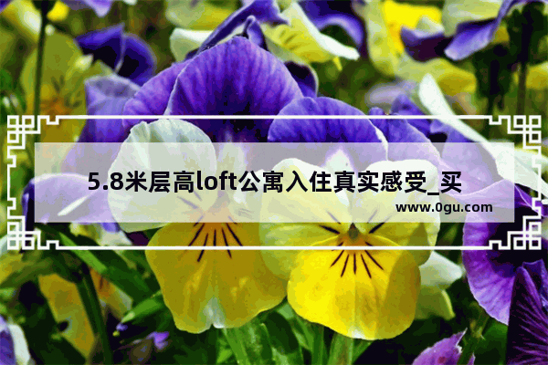 5.8米层高loft公寓入住真实感受_买了酒店公寓的告诉我情况怎么样,好出租吗
