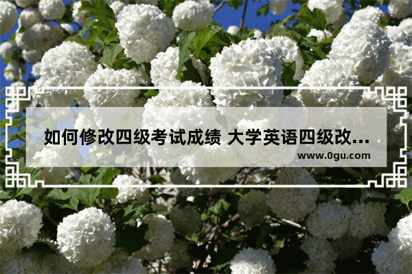 如何修改四级考试成绩 大学英语四级改成绩