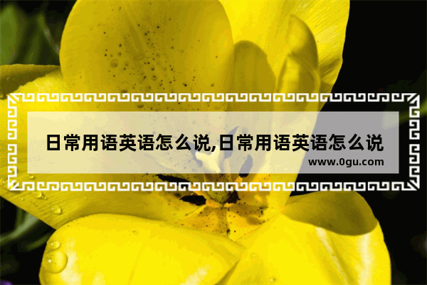 日常用语英语怎么说,日常用语英语怎么说