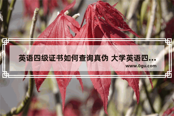 英语四级证书如何查询真伪 大学英语四级证真伪