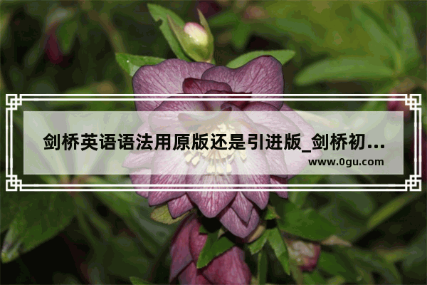 剑桥英语语法用原版还是引进版_剑桥初级英语语法相当于什么水平