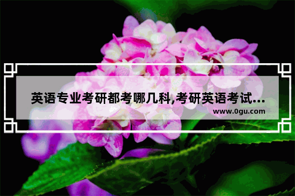 英语专业考研都考哪几科,考研英语考试考几门科目