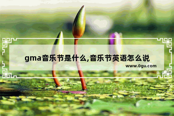gma音乐节是什么,音乐节英语怎么说