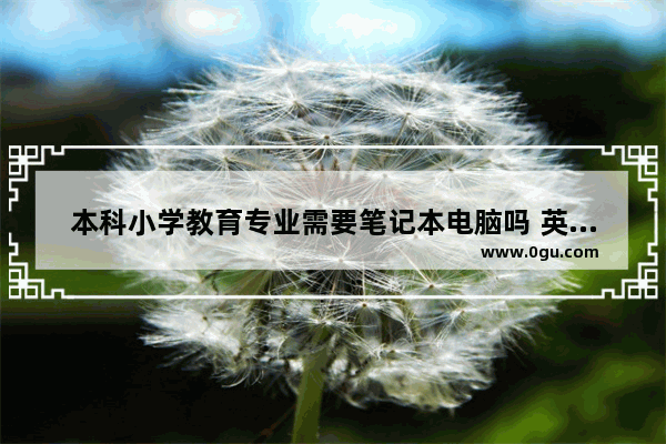 本科小学教育专业需要笔记本电脑吗 英语六级备课经验分享