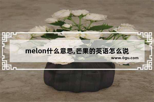 melon什么意思,芒果的英语怎么说