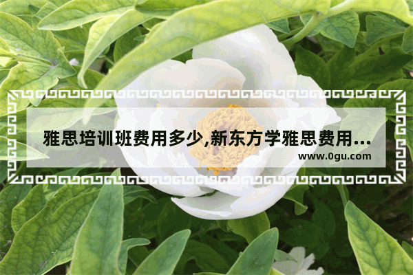 雅思培训班费用多少,新东方学雅思费用多少