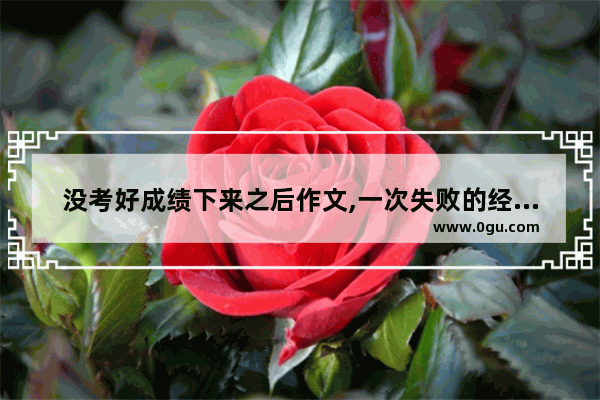 没考好成绩下来之后作文,一次失败的经历英语作文