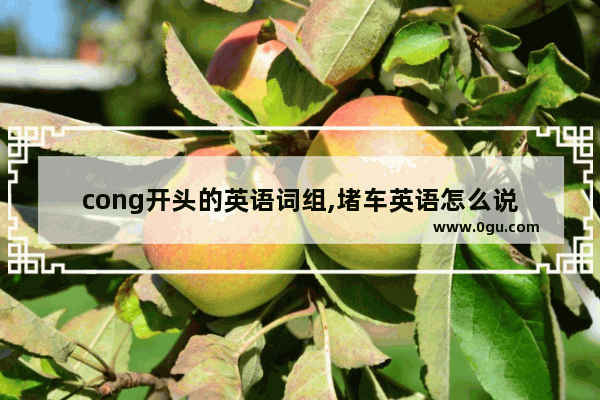 cong开头的英语词组,堵车英语怎么说