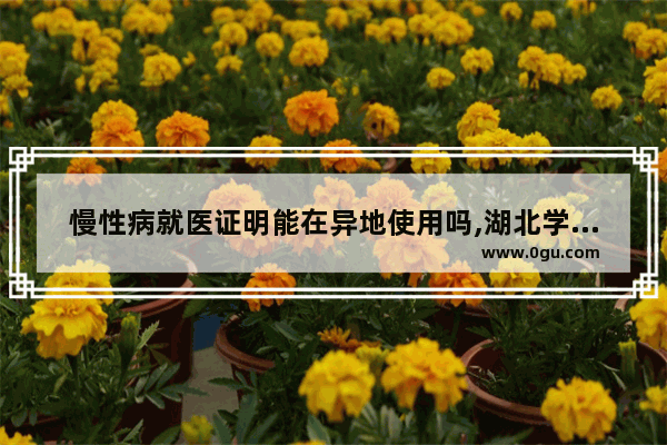 慢性病就医证明能在异地使用吗,湖北学位英语考试证明材料
