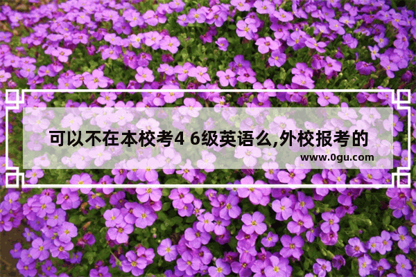 可以不在本校考4 6级英语么,外校报考的英语六级