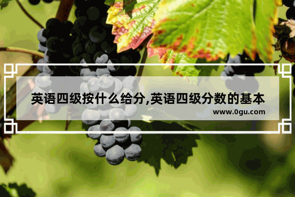 英语四级按什么给分,英语四级分数的基本