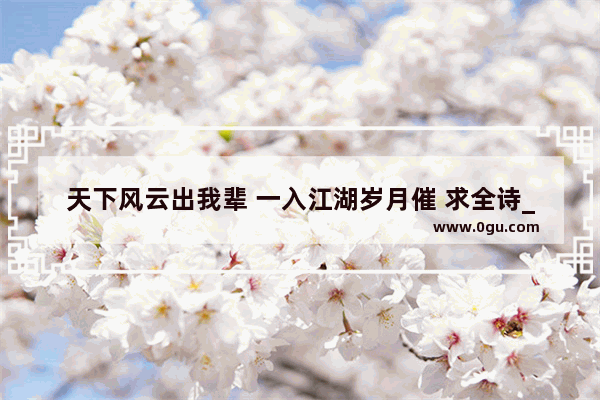 天下风云出我辈 一入江湖岁月催 求全诗_掌声英语怎么说
