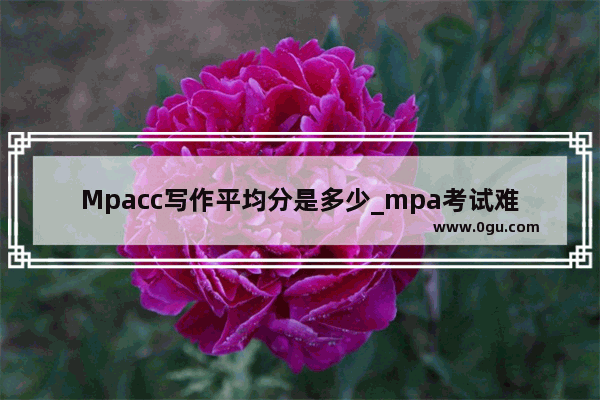 Mpacc写作平均分是多少_mpa考试难吗