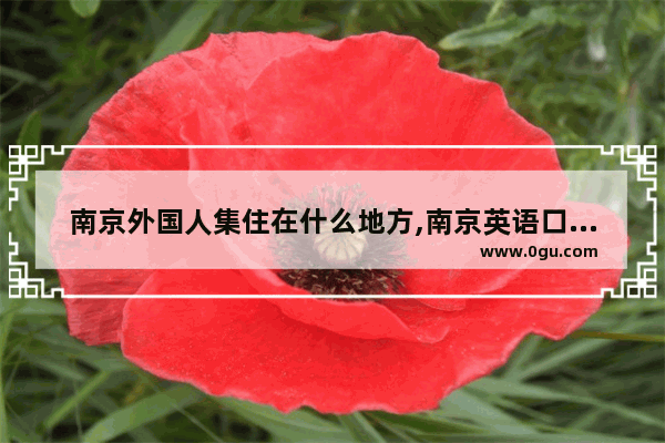 南京外国人集住在什么地方,南京英语口语外教