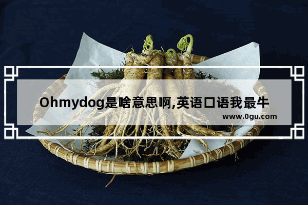 Ohmydog是啥意思啊,英语口语我最牛