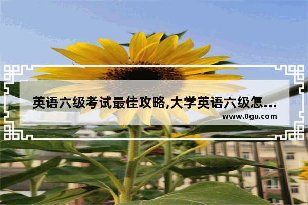 英语六级考试最佳攻略,大学英语六级怎么学