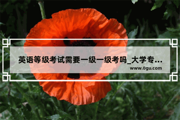 英语等级考试需要一级一级考吗_大学专科是不是都必须要过英语三级