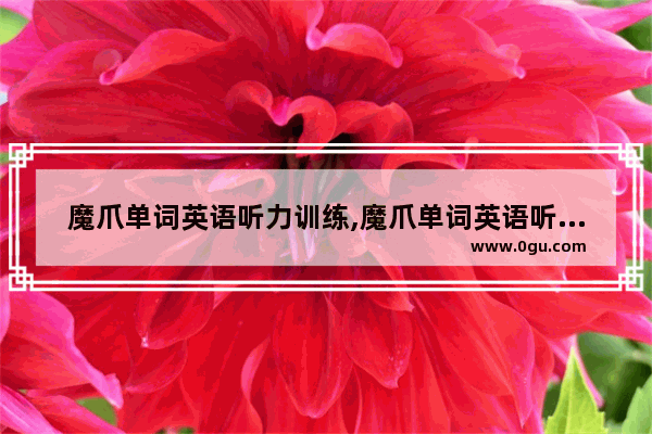 魔爪单词英语听力训练,魔爪单词英语听力训练