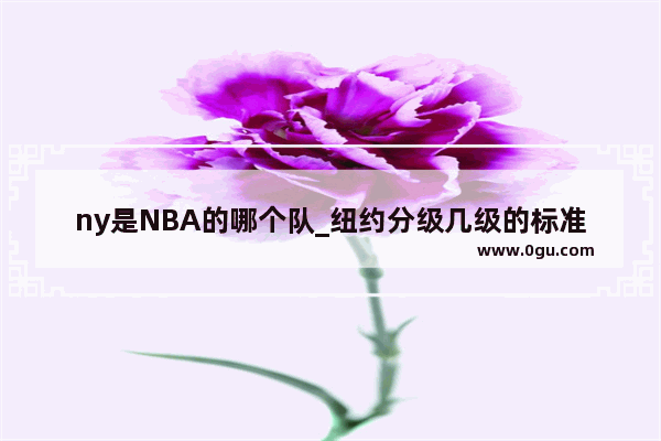 ny是NBA的哪个队_纽约分级几级的标准