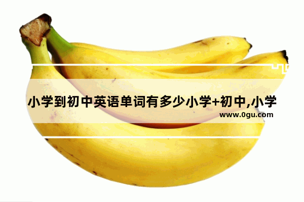 小学到初中英语单词有多少小学+初中,小学初中英语单词