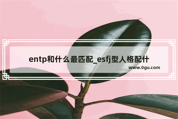 entp和什么最匹配_esfj型人格配什么人格