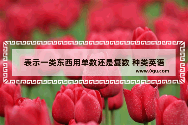 表示一类东西用单数还是复数 种类英语