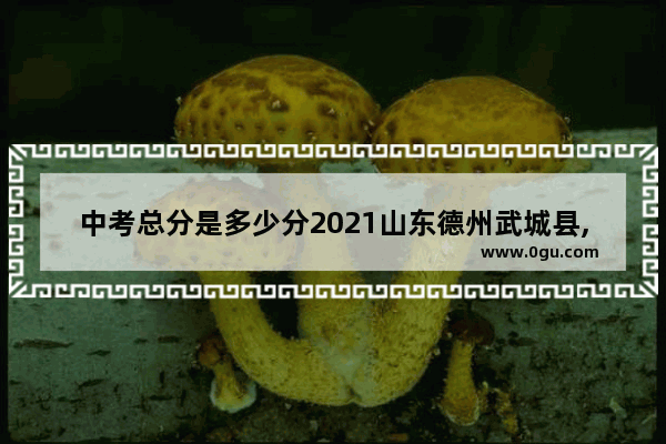 中考总分是多少分2021山东德州武城县,2021德州市英语考试