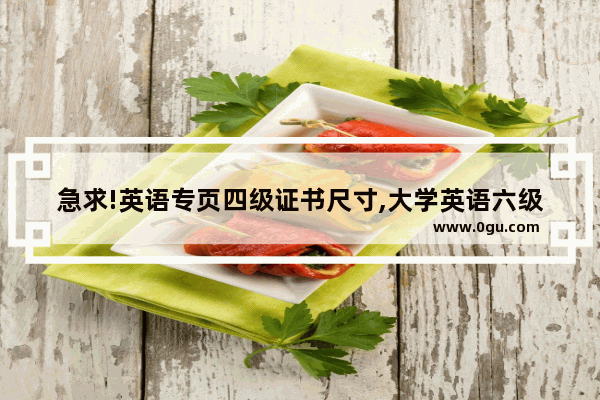 急求!英语专页四级证书尺寸,大学英语六级照片规格