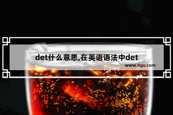 det什么意思,在英语语法中det