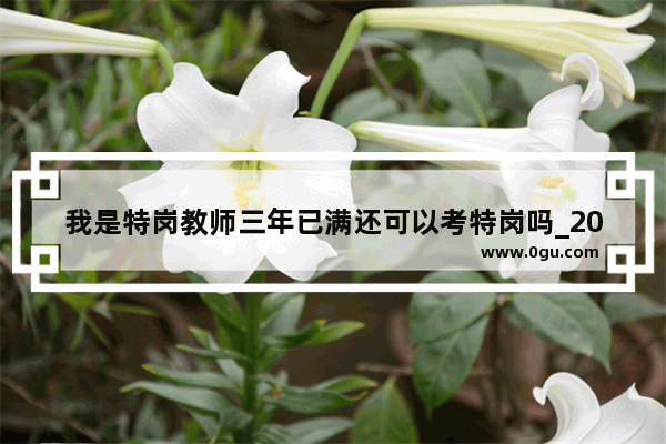 我是特岗教师三年已满还可以考特岗吗_2023年临夏特岗会补录吗