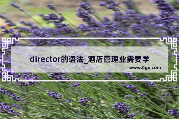 director的语法_酒店管理业需要学习英语吗？酒店管理专业学起