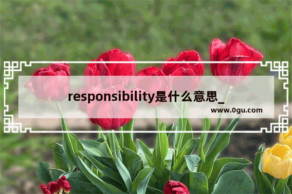 responsibility是什么意思_关于责任感的英语作文