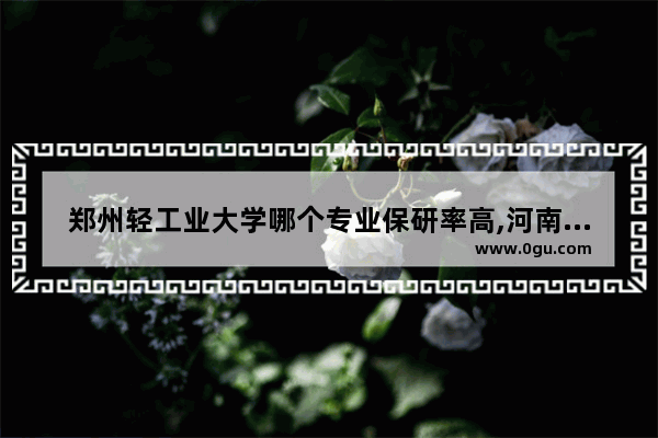 郑州轻工业大学哪个专业保研率高,河南雅思报名