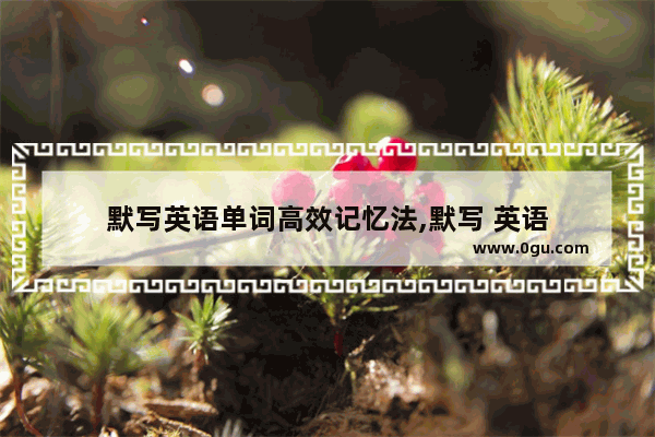默写英语单词高效记忆法,默写 英语
