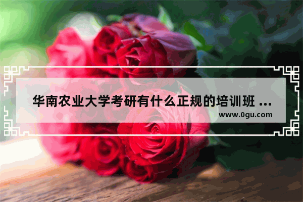 华南农业大学考研有什么正规的培训班 英语六级371过了吗