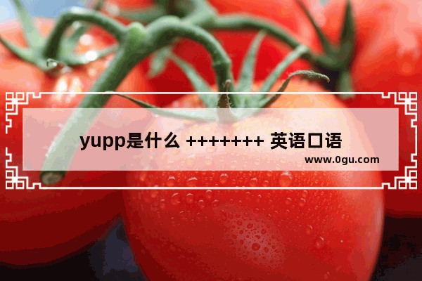 yupp是什么 +++++++ 英语口语