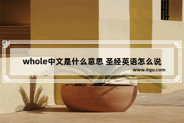 whole中文是什么意思 圣经英语怎么说
