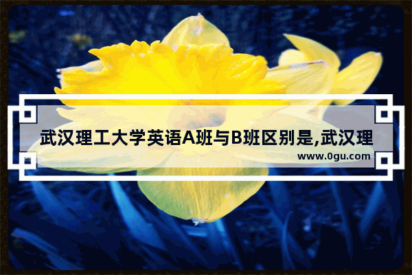武汉理工大学英语A班与B班区别是,武汉理工大学英语四级