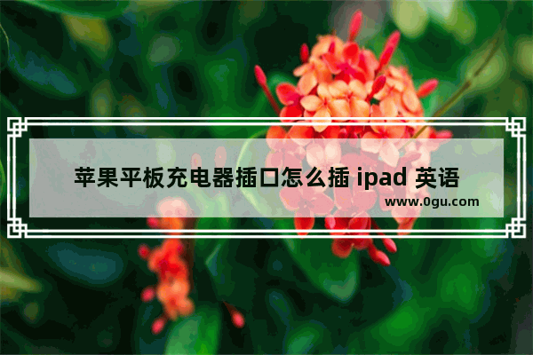 苹果平板充电器插口怎么插 ipad 英语口语