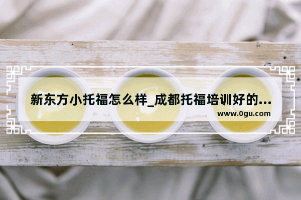 新东方小托福怎么样_成都托福培训好的机构有那些?帮忙推荐下