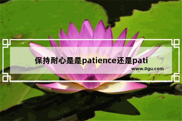 保持耐心是是patience还是patient 耐心用英语怎么说