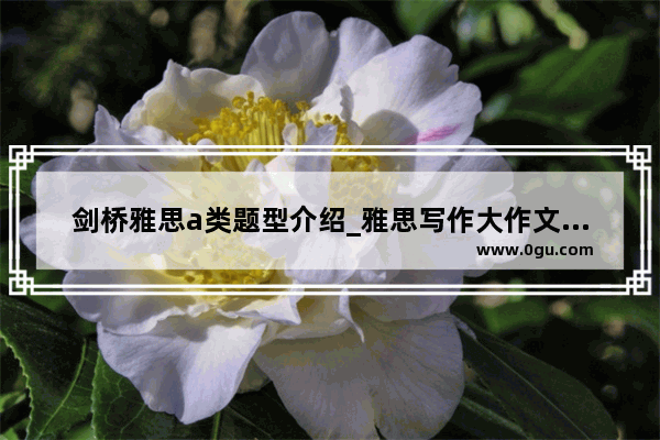 剑桥雅思a类题型介绍_雅思写作大作文结尾没完成 小作文写得还可以 能得多少分